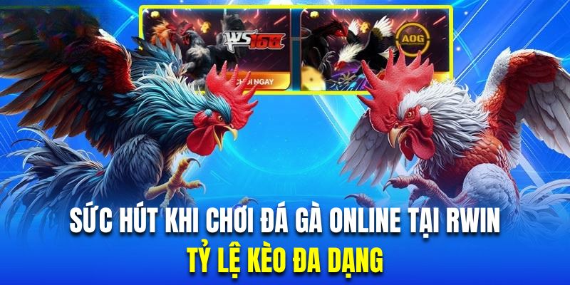Sân chơi đá gà RWIN cung cấp tỷ lệ kèo siêu đa dạng