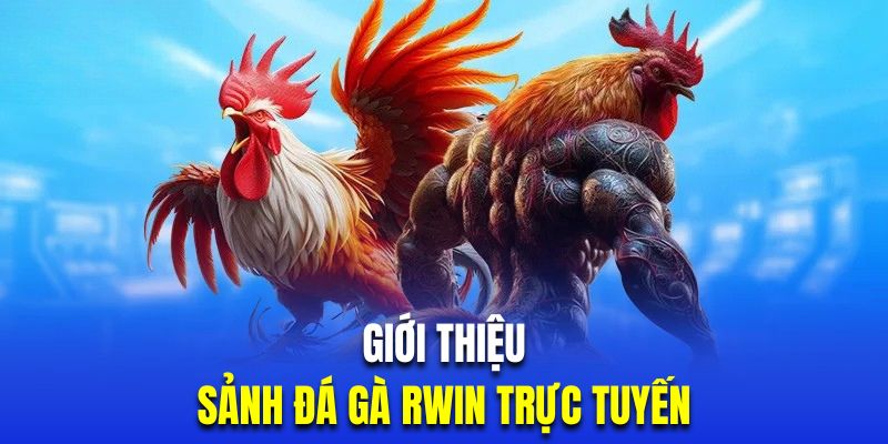 Khám phá sảnh đá gà giải trí trực tuyến tại nhà cái